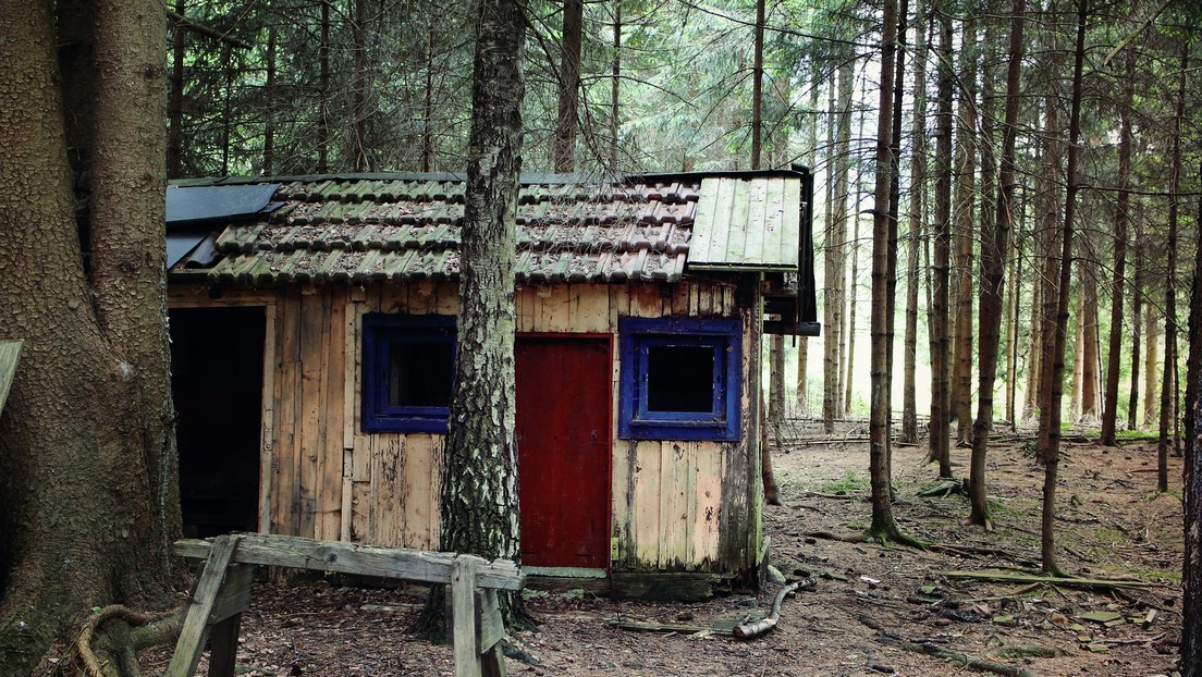 Una pareja británica vive en el bosque tras quedarse sin casa por la pandemia