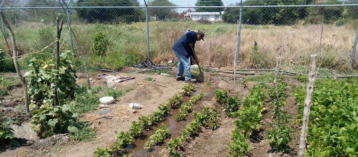 Producción del campo en jaque por falta de agua y gasolina