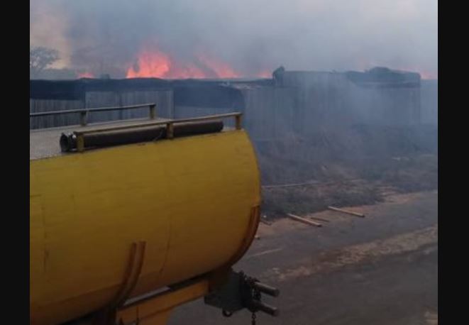 Se registró incendio forestal en aserradero de Monagas este #2May (Fotos)