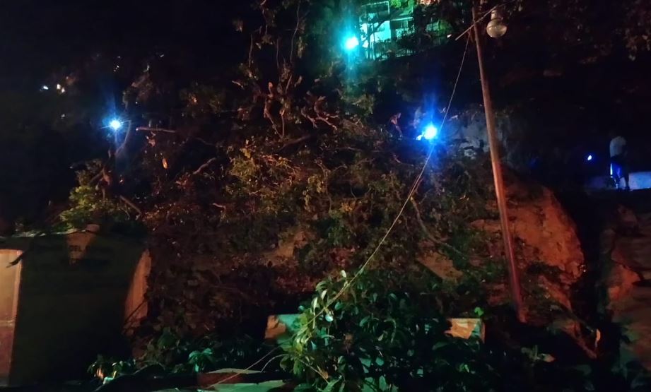 Árbol que cayó en Lomas de Urdaneta se cobró la vida de un pequeño de cuatro años