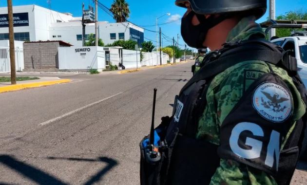 Guardia Nacional de México decomisó al menos 15 mil animales exóticos