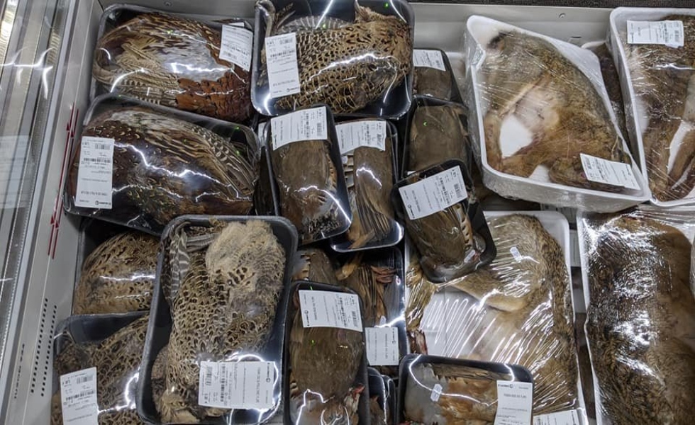 Polémica: Supermercado francés vende animales enteros y recién cazados