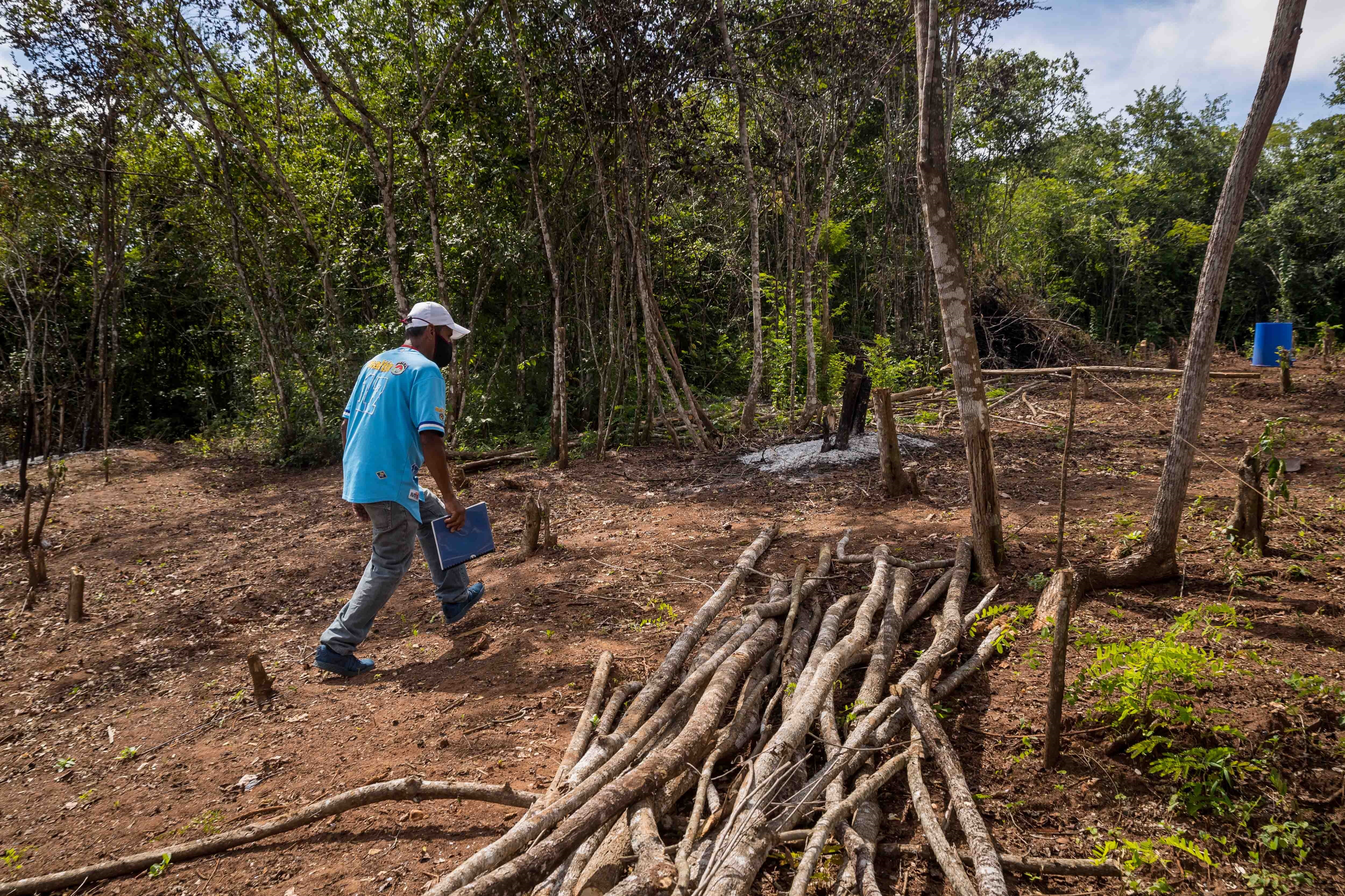 Tala ilegal acabó con un bosque a orillas de una quebrada en Calderas de Barinas