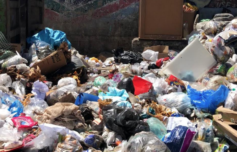 Cúmulos de basura en La Vega se convierten en focos de enfermedades (Video)