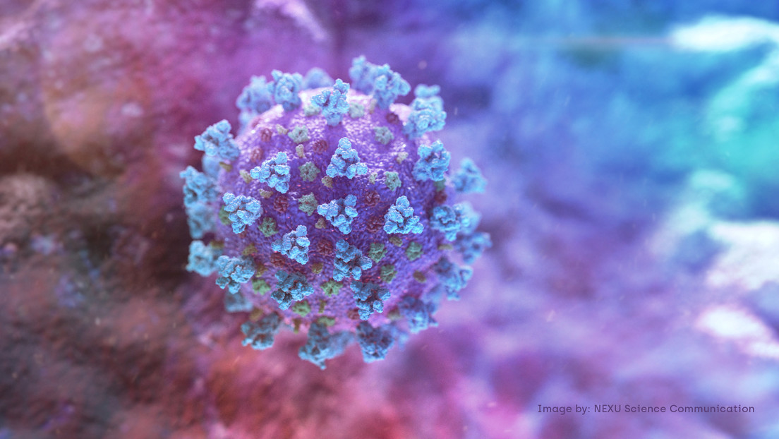 Estudio confirmó que el coronavirus es una enfermedad vascular