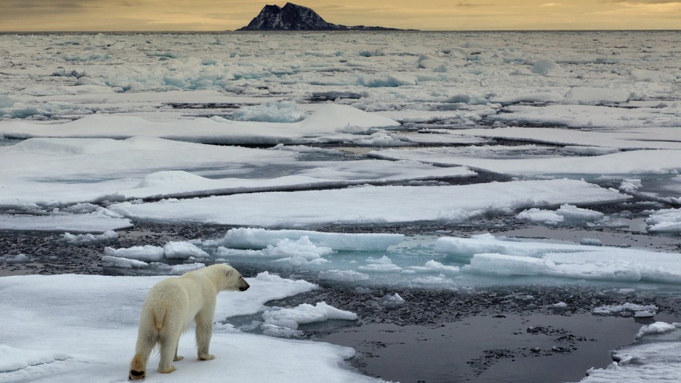 Qué son las emisiones de dióxido de carbono y por qué es vital reducirlas antes del 2050