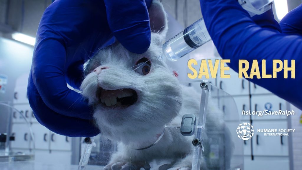 “Save Ralph”: La campaña en contra del maltrato animal que conmovió a todos en las redes