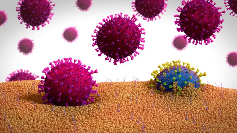 Mutaciones del coronavirus: ¿Se volverá más transmisible y letal en el futuro?