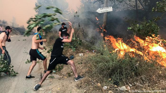 Tragedia: Asciende a 42 la cifra de fallecidos por los incendios que arrasan parte Argelia