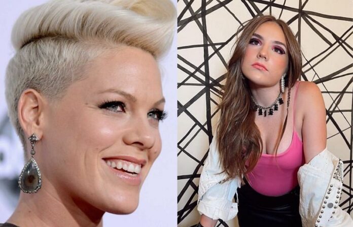 Pink se mostró indignada por influencer de 13 años que posó con poca ropa