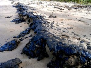 Afectada fauna marina y pescadores de la población de río Seco en Falcón por derrame petrolero (FOTOS)