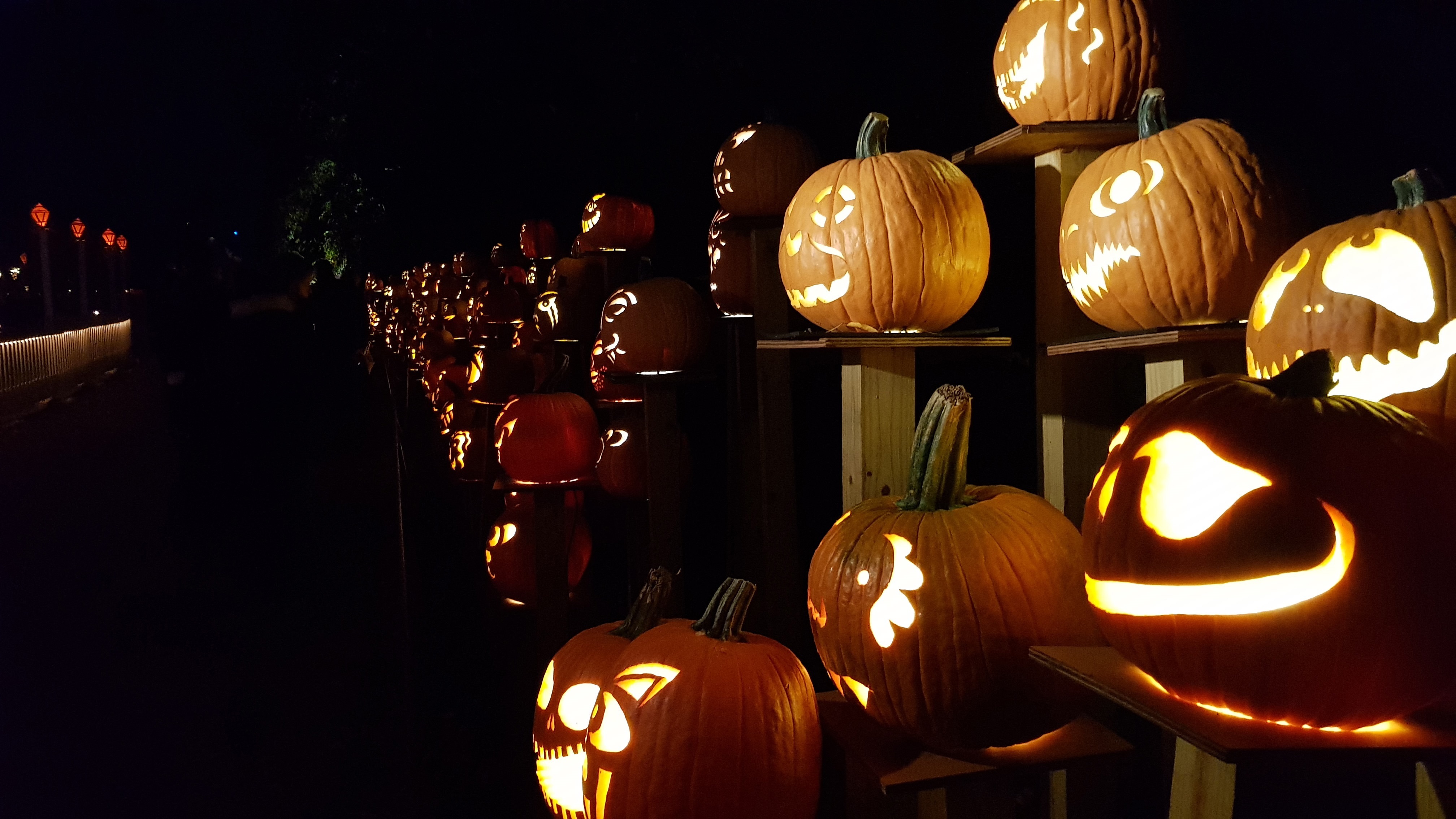 Conoce el origen de las tradiciones más famosas de Halloween