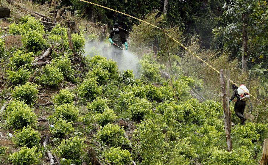 Colombia ha incautado más de 600 toneladas de cocaína en lo que va de 2021