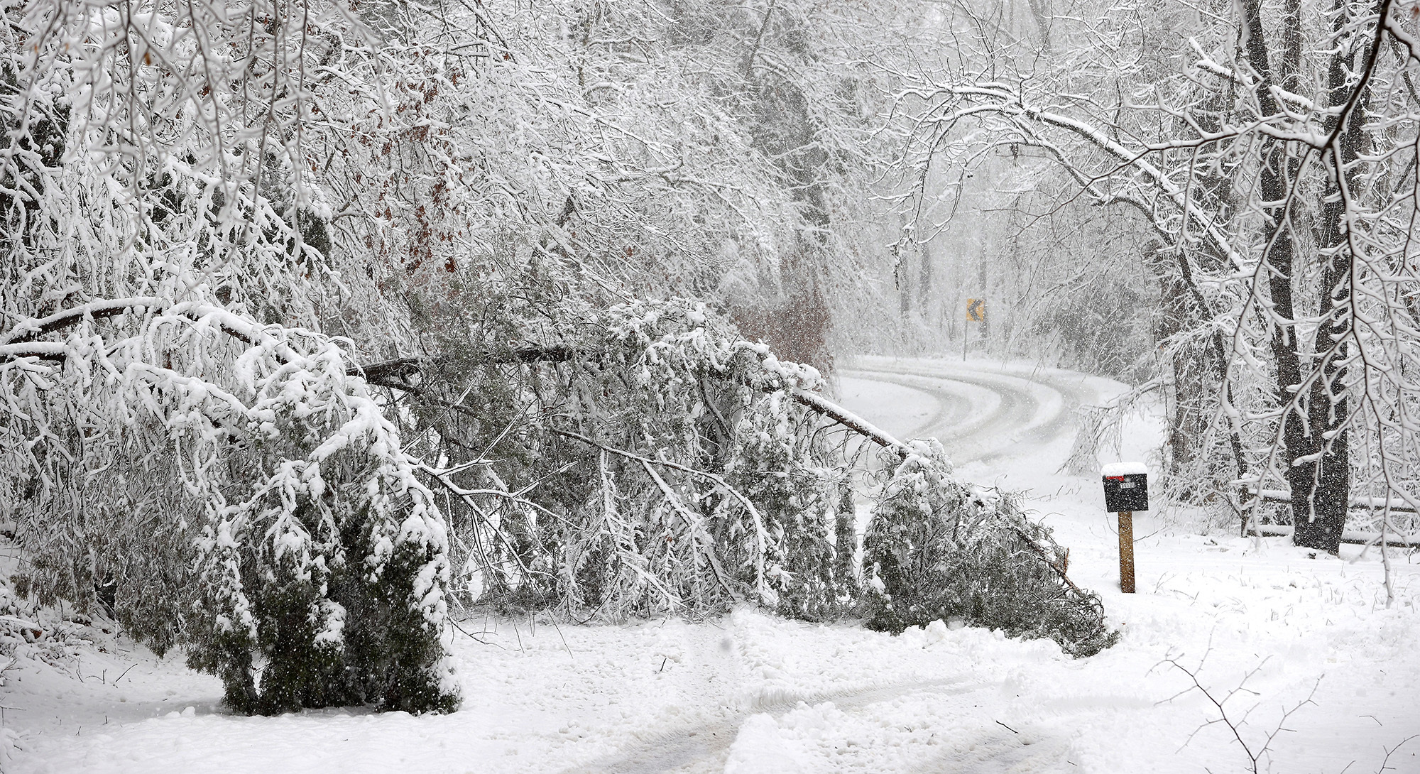 Su padre murió al intentar regresar a casa caminando en medio de una tormenta de nieve en EEUU