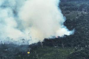 La Amazonía colombiana, un año más, a merced de las llamas y la deforestación