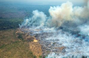 Fiscalía colombiana imputó por primera vez a una persona por deforestación