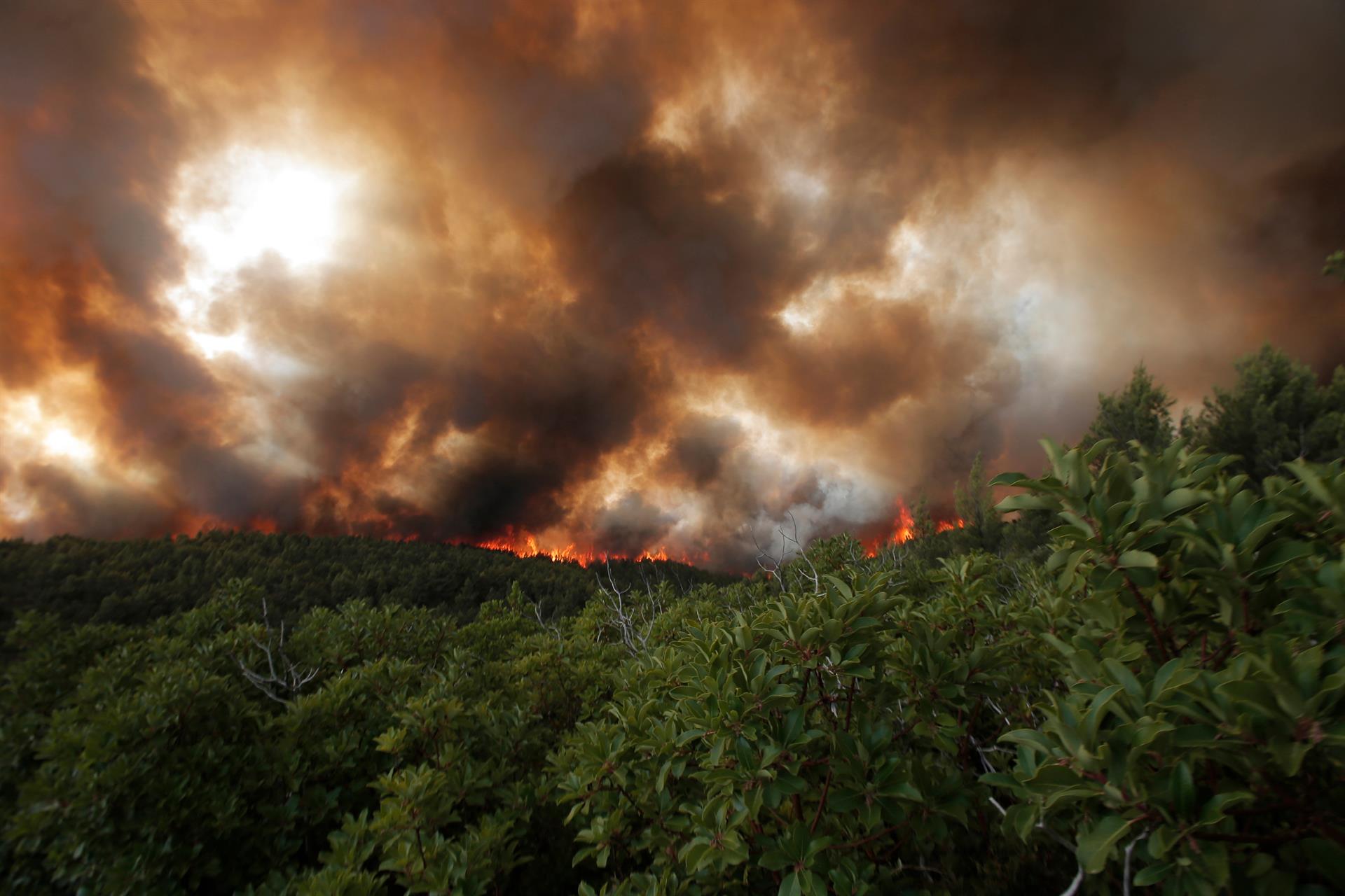 Bomberos en Argentina luchan contra los devastadores incendios para evitar que lleguen a las viviendas (Videos)