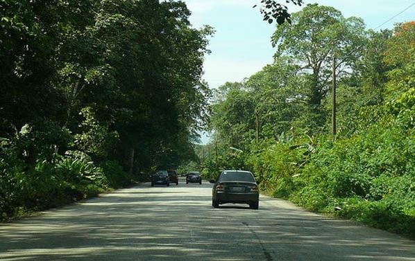 Piratas de carretera asesinaron a transportista camino a Puerto Píritu