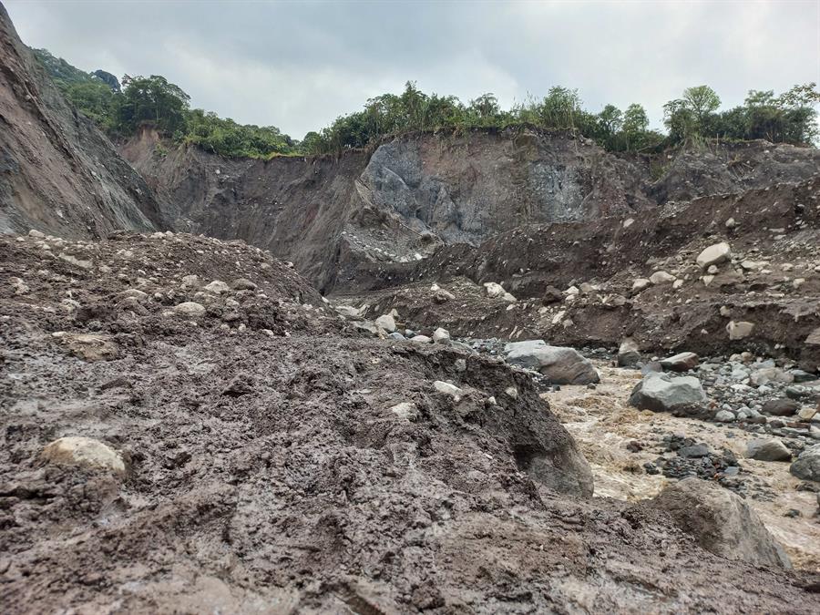 La Amazonia se acerca a un punto de no retorno para convertirse en una sabana