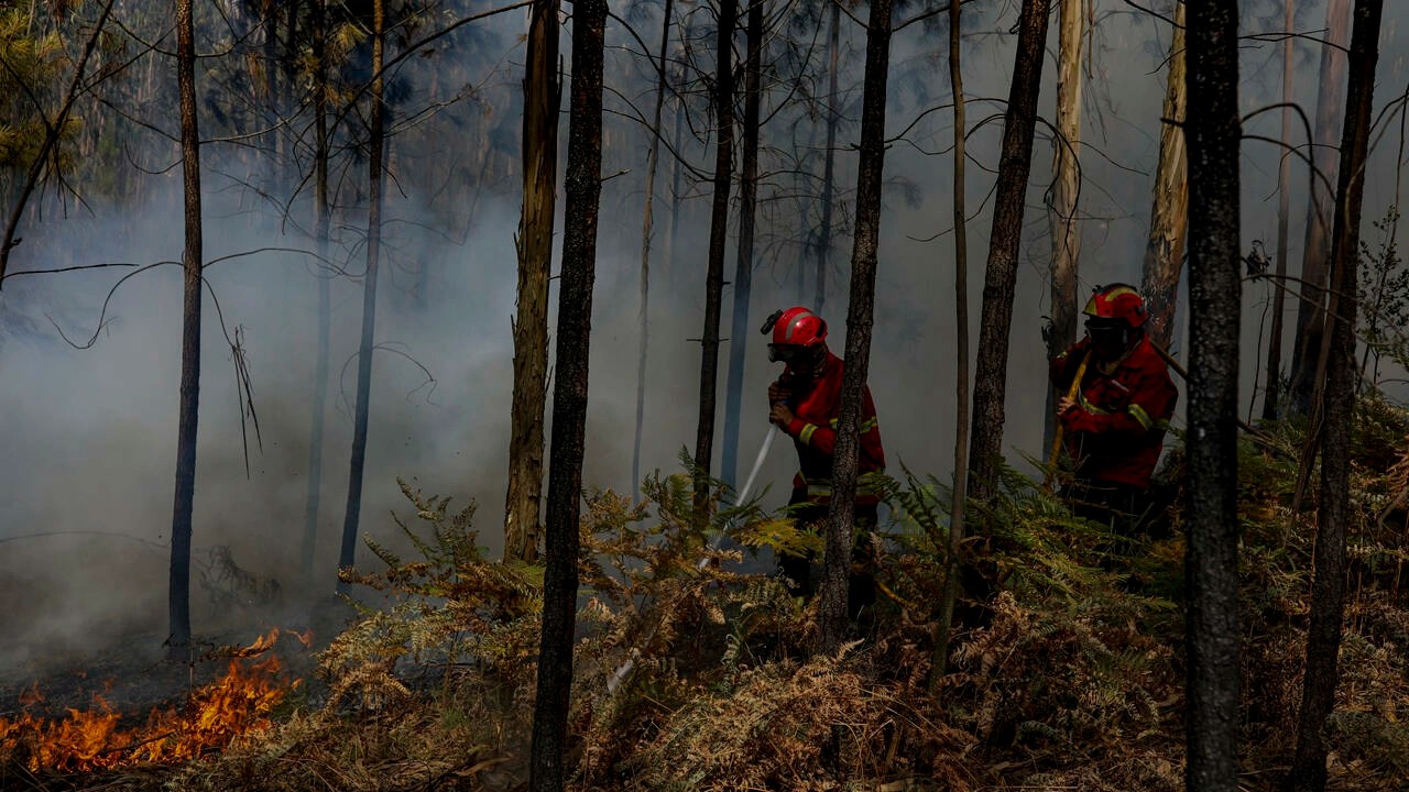 Ola de calor alcanza su pico en España y los incendios se extienden