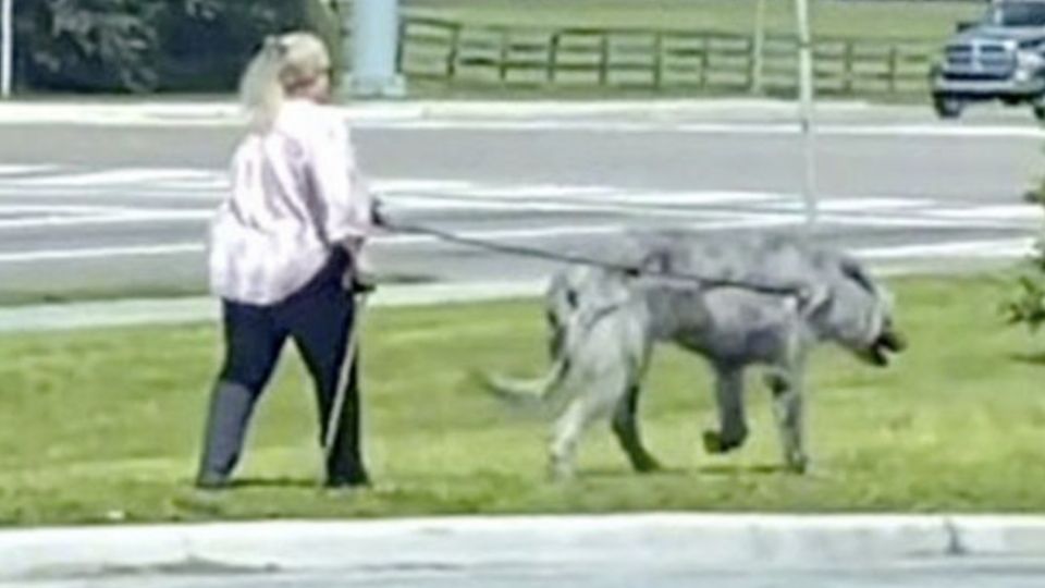 El VIDEO que impresionó a todos: Mujer paseando a una “bestia” salida de Game of Thrones