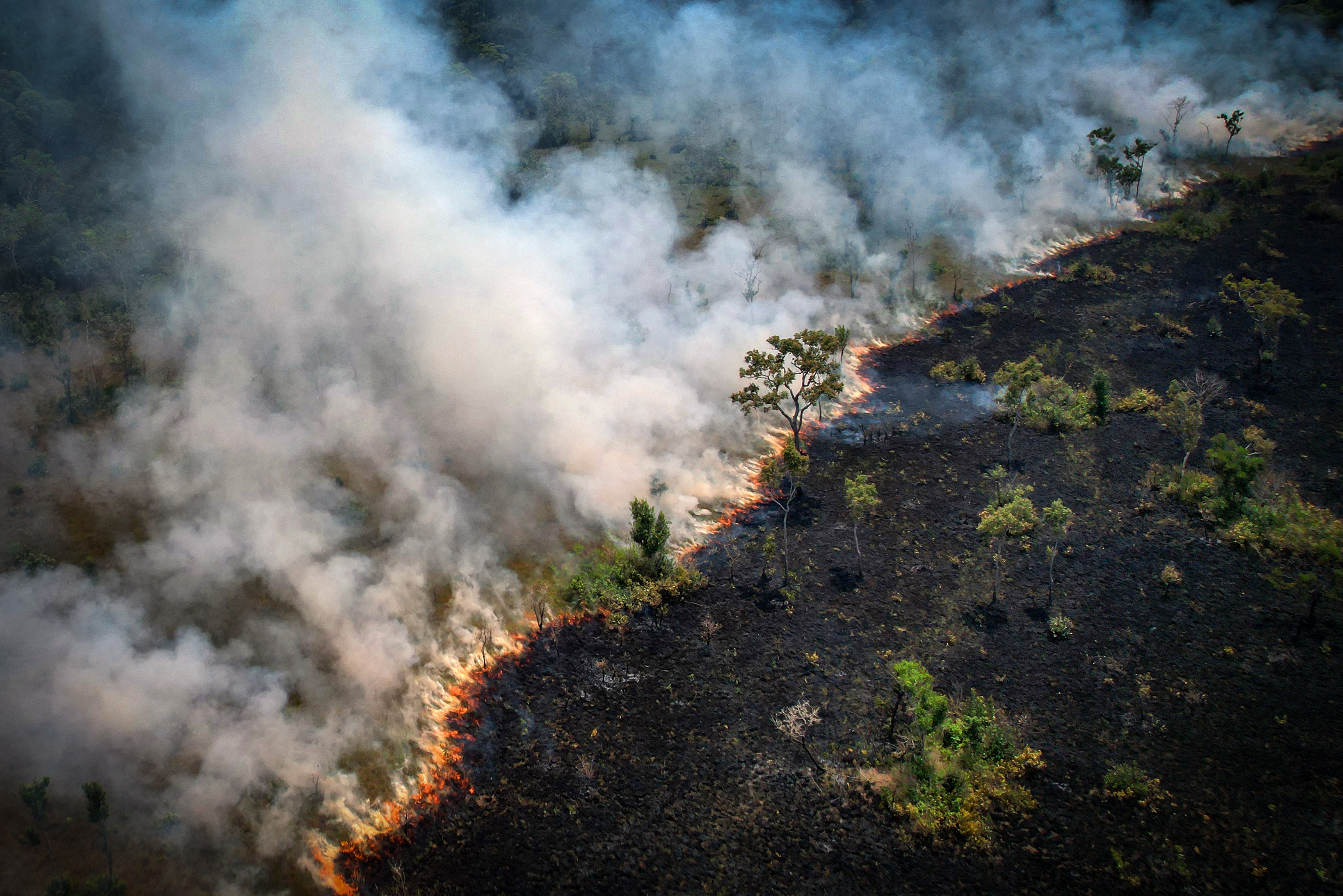 Aterradores incendios en la Amazonía brasileña registran el peor agosto en 12 años (FOTOS)