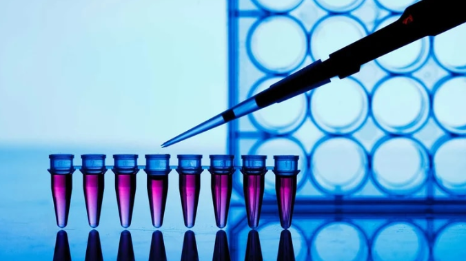 Congreso mundial de trasplantes: cuál es el aporte de los anticuerpos monoclonales para el sistema inmune