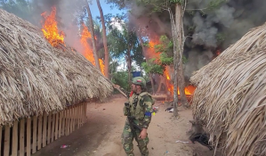 Fanb destruyó otro campamento de droga en la frontera de Apure (fotos)