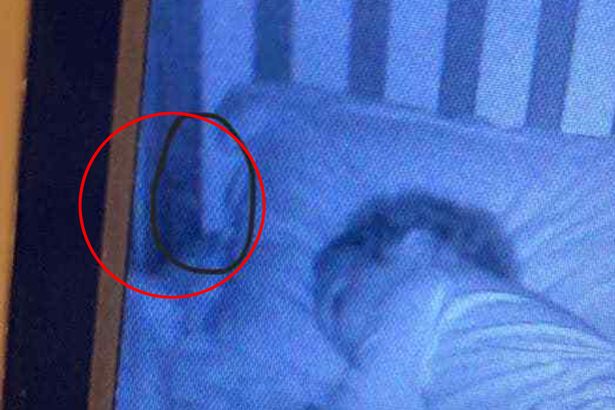 DE TERROR: madre ve “caras” espeluznantes en el monitor de bebé, a escasos centímetros de su hija dormida (Fotos)