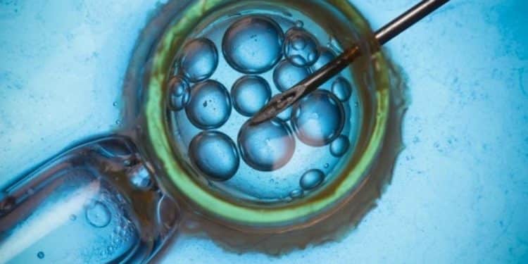 Tras superar un cáncer, una mujer quedó embarazada con óvulos congelados desde hace 14 años