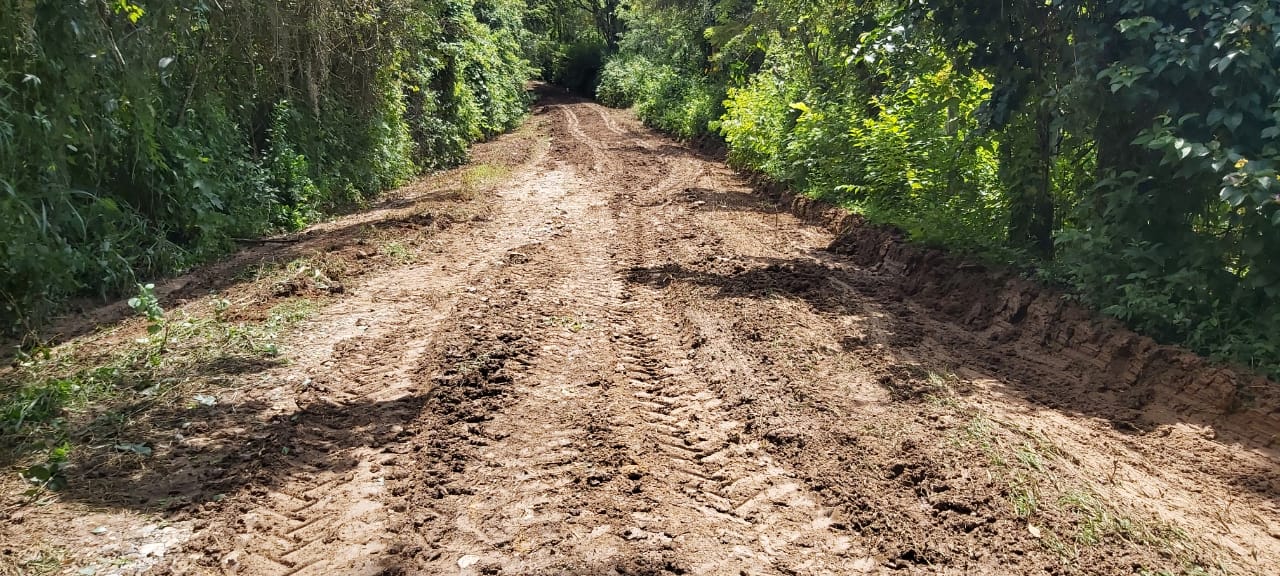 Entre barro y derrumbes se desplazan productores de Nirgua para llegar a sus parcelas