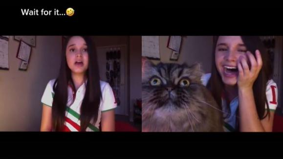 VIRAL: Gato interrumpe VIDEO de su dueña y empieza a “cantar” ópera