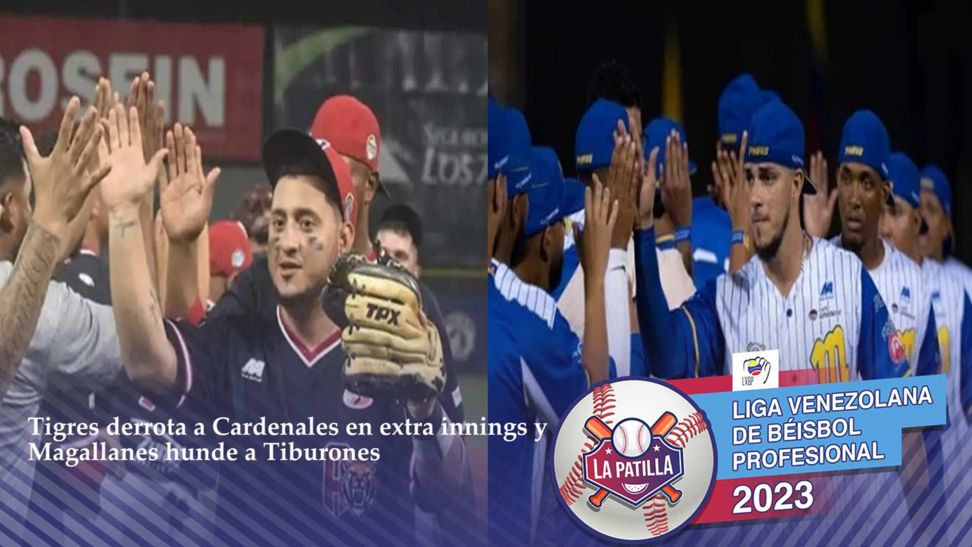 Tigres derrota a Cardenales para tomar el liderato en el “todos contra todos” y Magallanes hunde a Tiburones al ultimo puesto este #6Ene