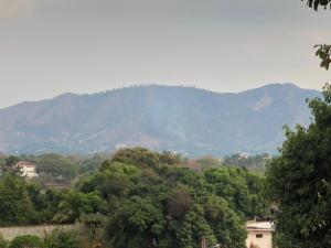 Guárico: Denuncian quema forestal en San Juan de los Morros