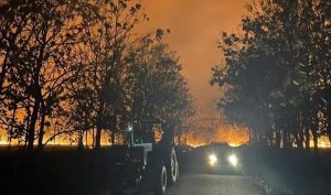 Incendio en Escuela Salesiana de Barinas “arrasó” con 500 hectáreas