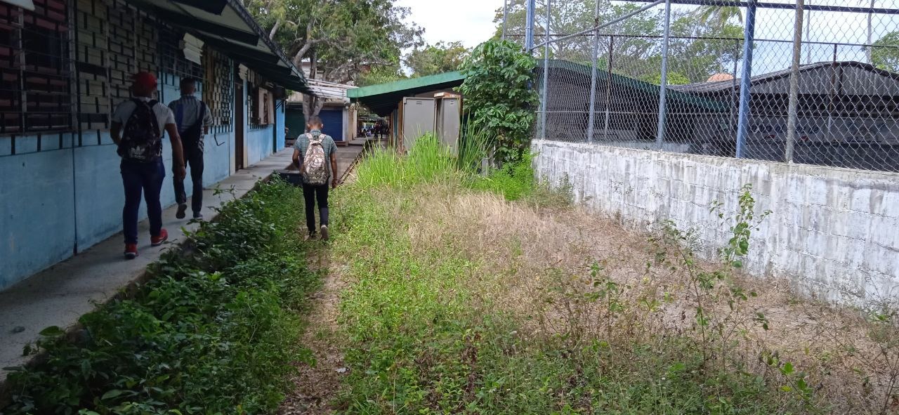 Imágenes dramáticas: el hampa arrasó con la sede de la Upel-Maturín