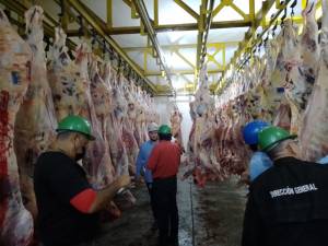 Alerta en matadero de Barinas por sospecha de brucelosis en ganado