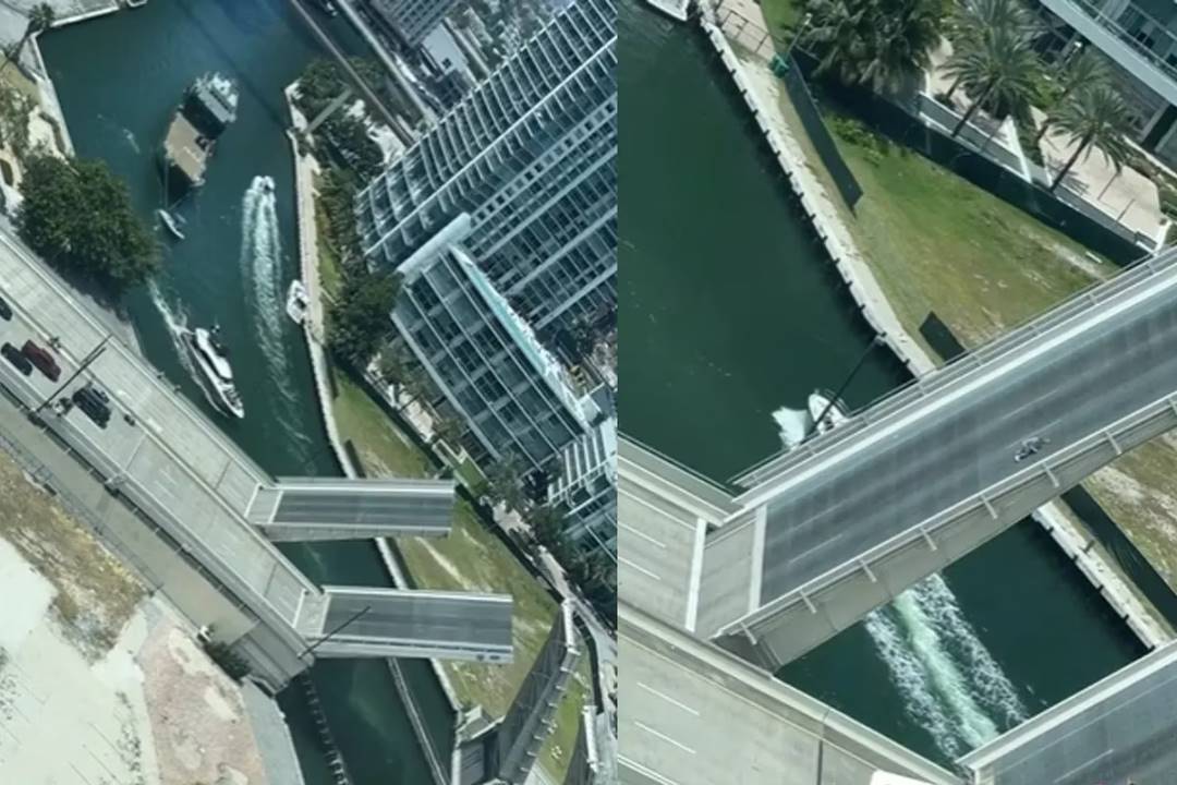 Miró por la ventana de su departamento en Miami y vio algo que lo dejó sin palabras (VIDEO)