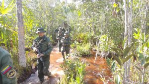 Fanb destruyó equipos logísticos que eran usados para la minería ilegal en Amazonas