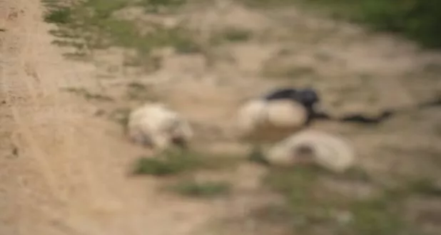 Macabro hallazgo: Restos humanos dentro de unos sacos sorprendió a habitantes de la Guajira colombiana