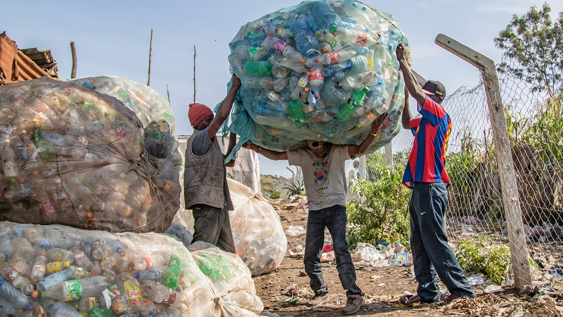 Descubren microbios capaces de digerir plásticos biodegradables a bajas temperaturas