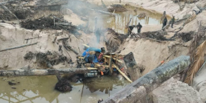 Detienen a más de 50 mineros ilegales de oro durante desalojos en reserva natural en Venezuela