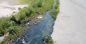 Vecinos de la calle Blanco Fombona en Cumaná denuncian desbordamiento de aguas residuales