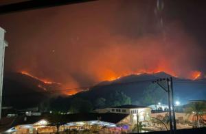 Incendios forestales desplazan biodiversidad del Henri Pittier