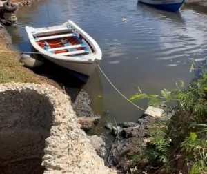 Pescadores alertan que aguas residuales contaminan la bahía de Juan Griego