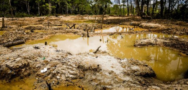 Personas y ecosistemas, cada vez más expuestos a la contaminación por mercurio