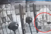 VIDEO: Mujer se desmayó cuando un ladrón le apuntó con un arma para robarle el celular