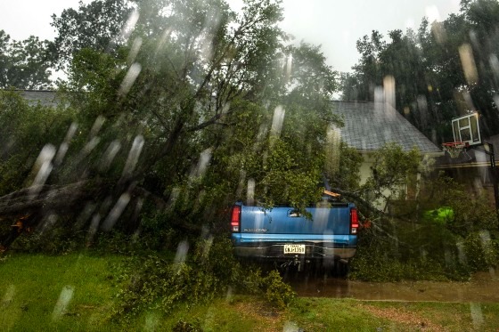 “Probablemente nos hubieran matado”: el drama de una mujer que sobrevivió a la caída de un árbol sobre su casa en Texas