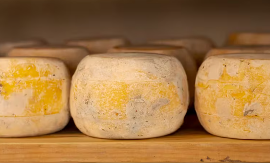 Cómo es el queso más peligroso del mundo y por qué está prohibido en varios países