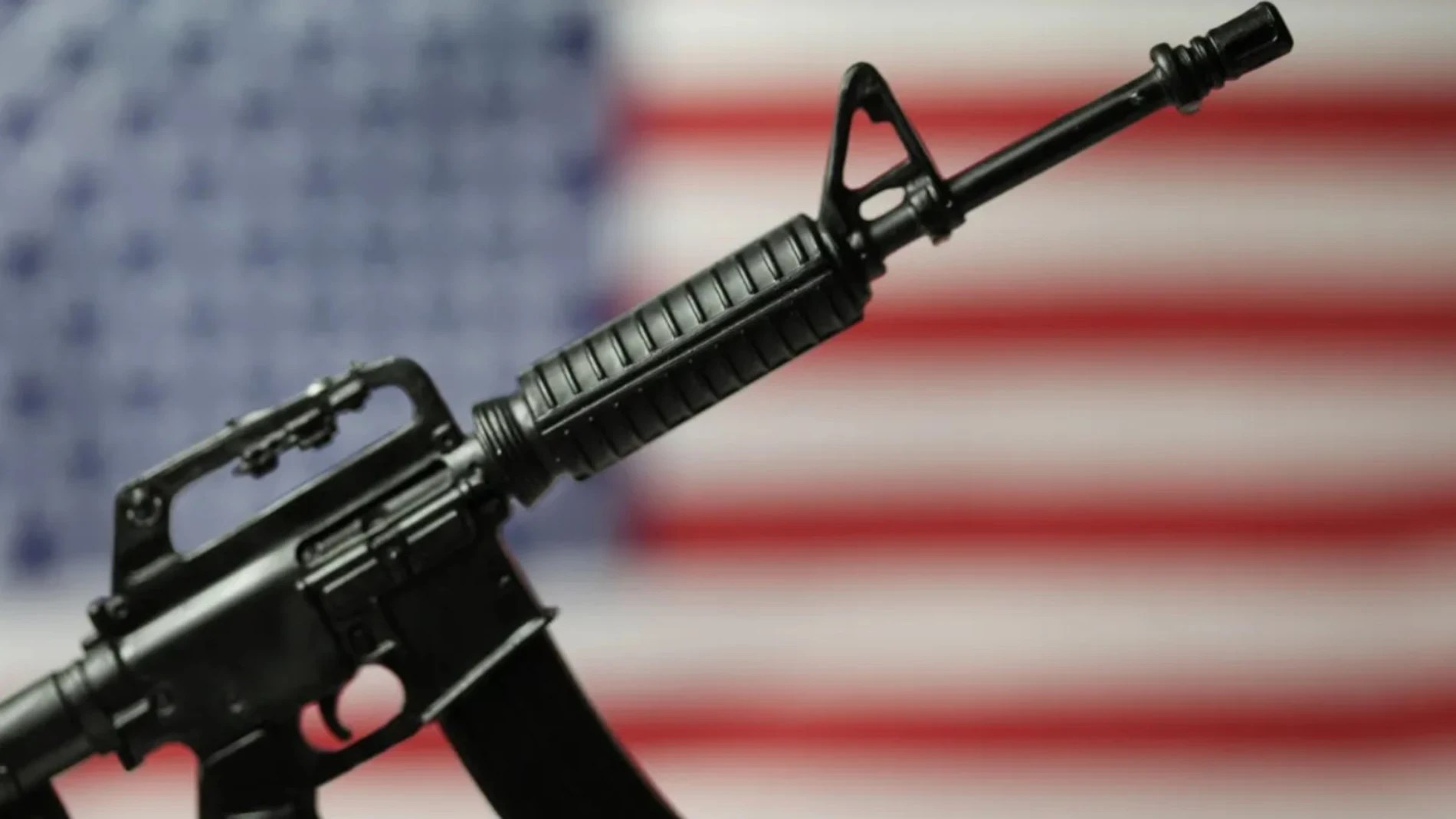 Fusil AR-15, así es el arma utilizada para disparar a Donald Trump